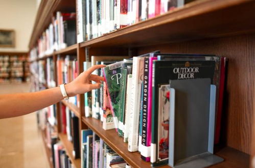 保姆级第三国赴美经验分享 绕道而行，赴美之路的详细攻略与避坑指南