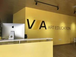 VA艺术留学 为川美学子量身定制的寰亚留学方案